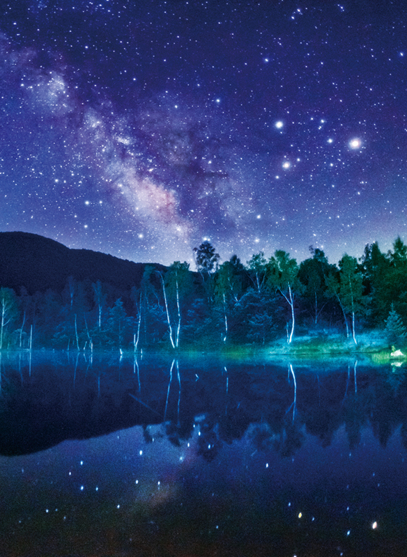 バックスクリーンシート 夏の大三角