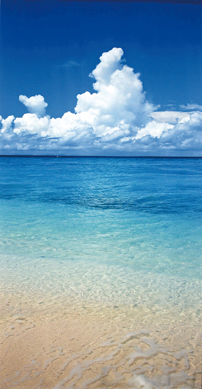 タペストリー(防炎)海雲