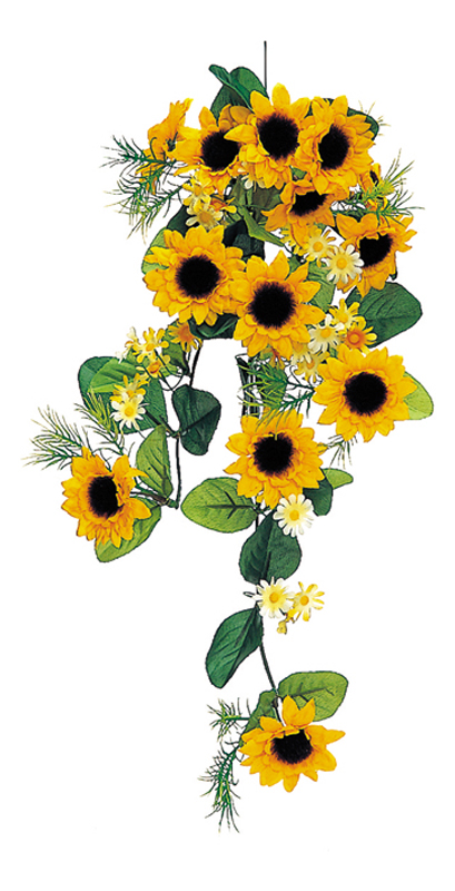 サンフラワーバイン