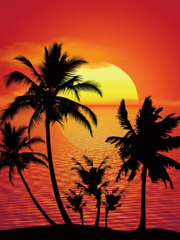 バックスクリーンシート サンセット