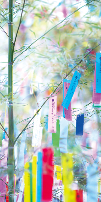 タペストリー(防炎)笹飾り