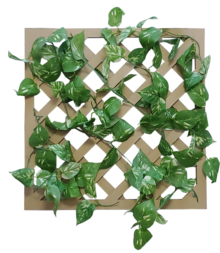 グリーンラティス ポトス