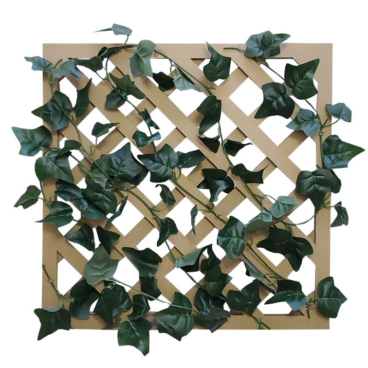 グリーンラティス イングリッシュアイビー