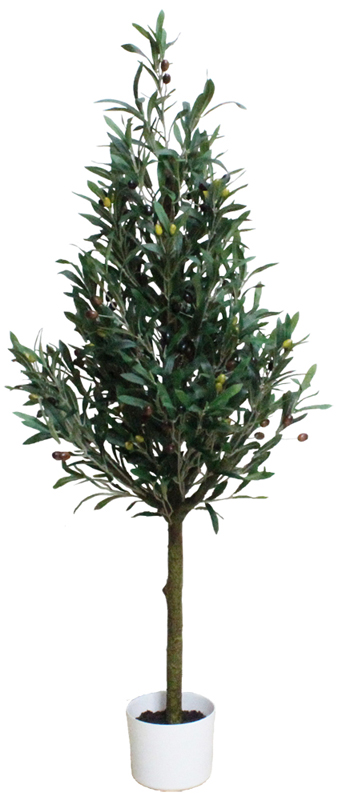 120cmオリーブツリー