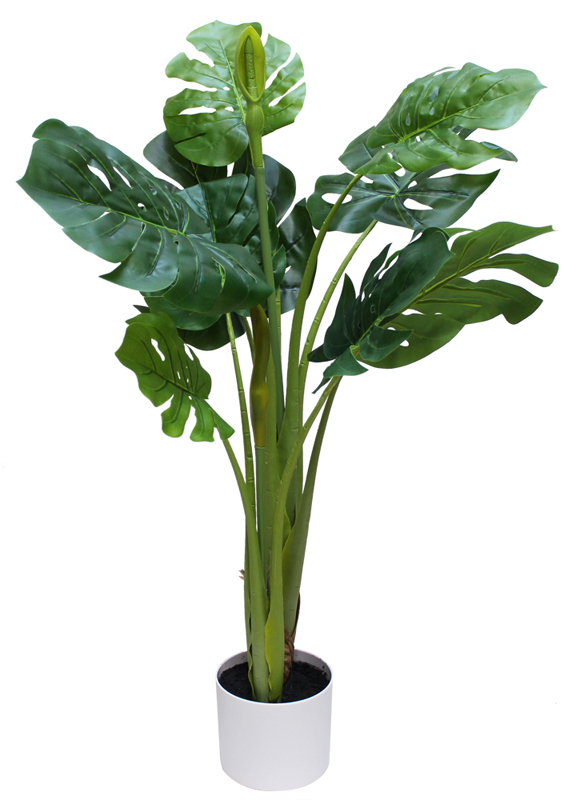 100cmスピリットフィロ