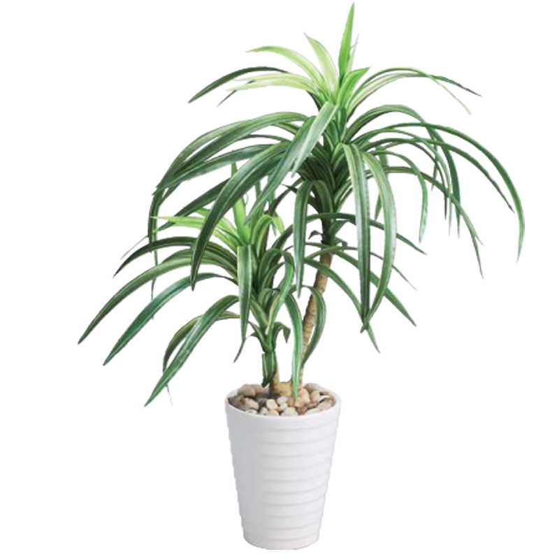 ユッカポット H43cm