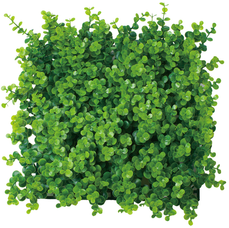 スクエアグリーンマット ユーカリ