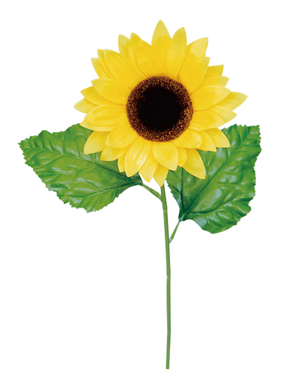 サンフラワースプレイ(S)