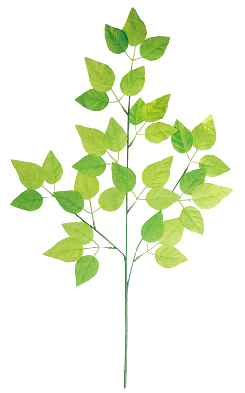 スプレイグリーンリーフ