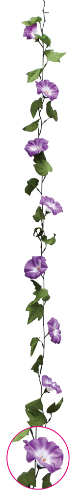 朝顔ガーランド 紫