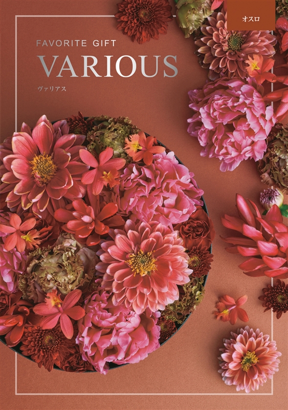 ヴァリアス【オスロ】