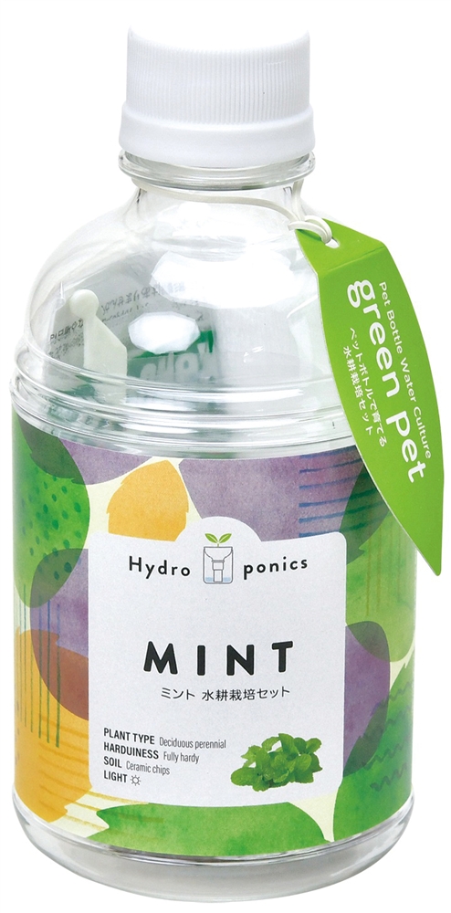 グリーンペット１個（ミント）