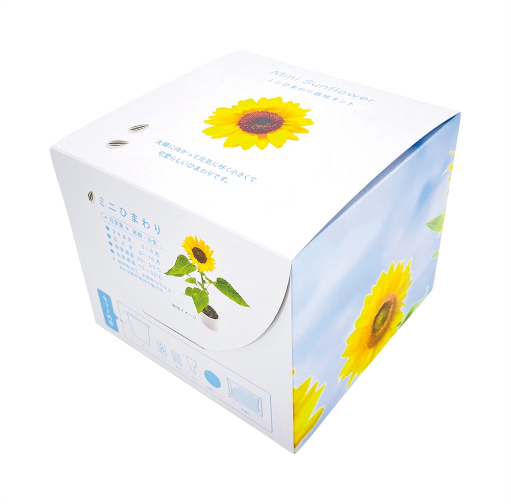 ミニひまわり栽培キット