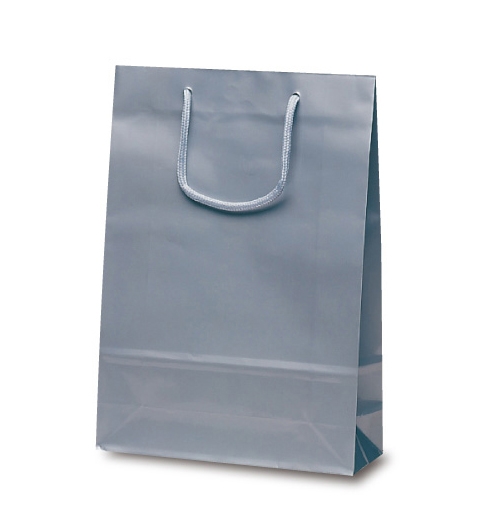 ナイスバッグ（シルバー）