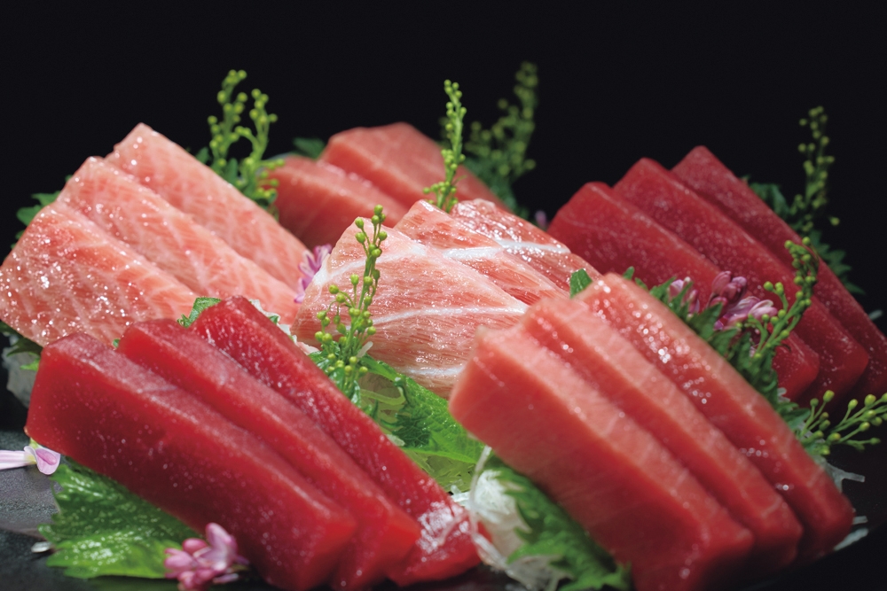 神奈川「三浦三崎」天然本まぐろ・目鉢まぐろ食べ比べセット