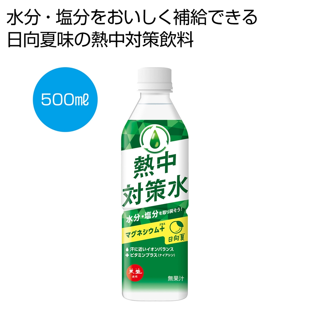天塩使用　熱中対策水　日向夏500ml