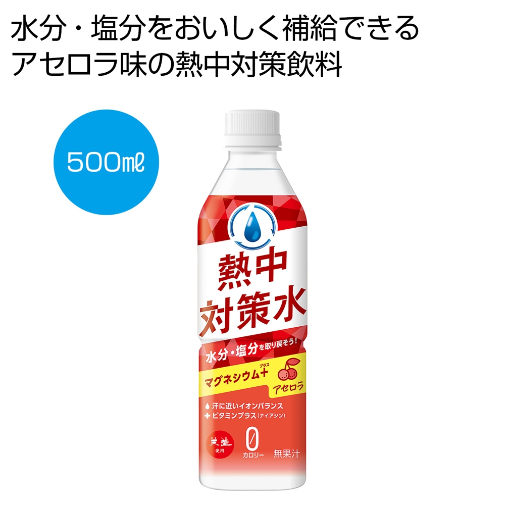 天塩使用　熱中対策水　アセロラ500ml