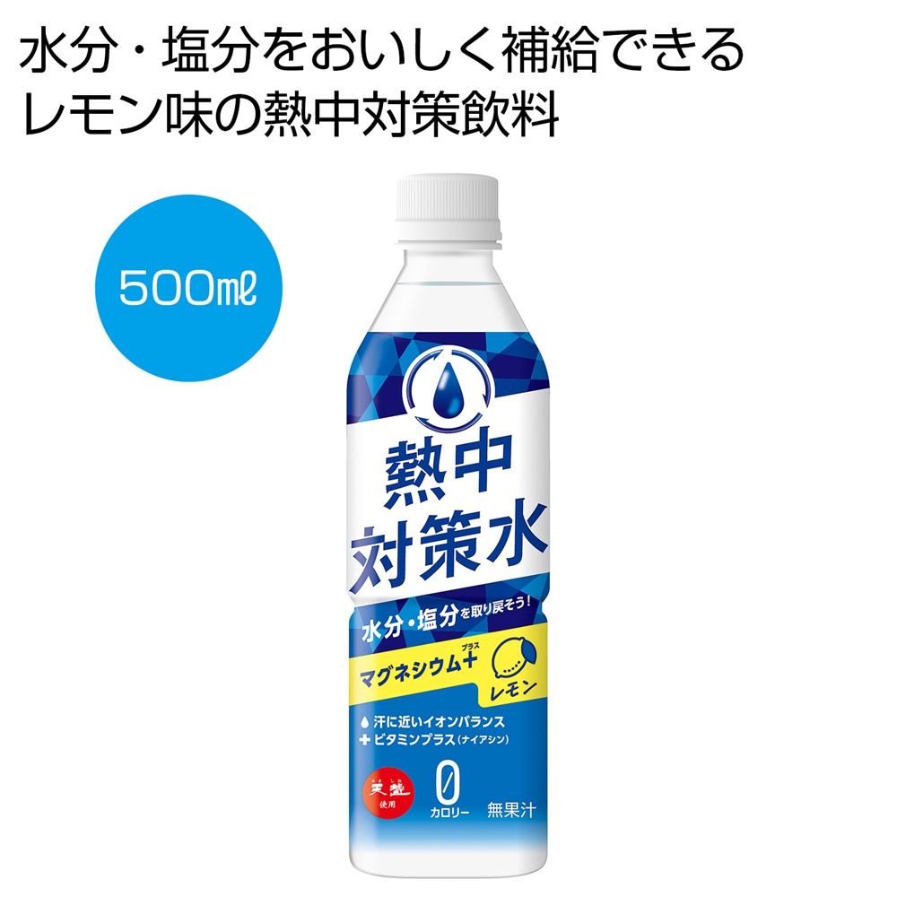 天塩使用　熱中対策水　レモン500ml