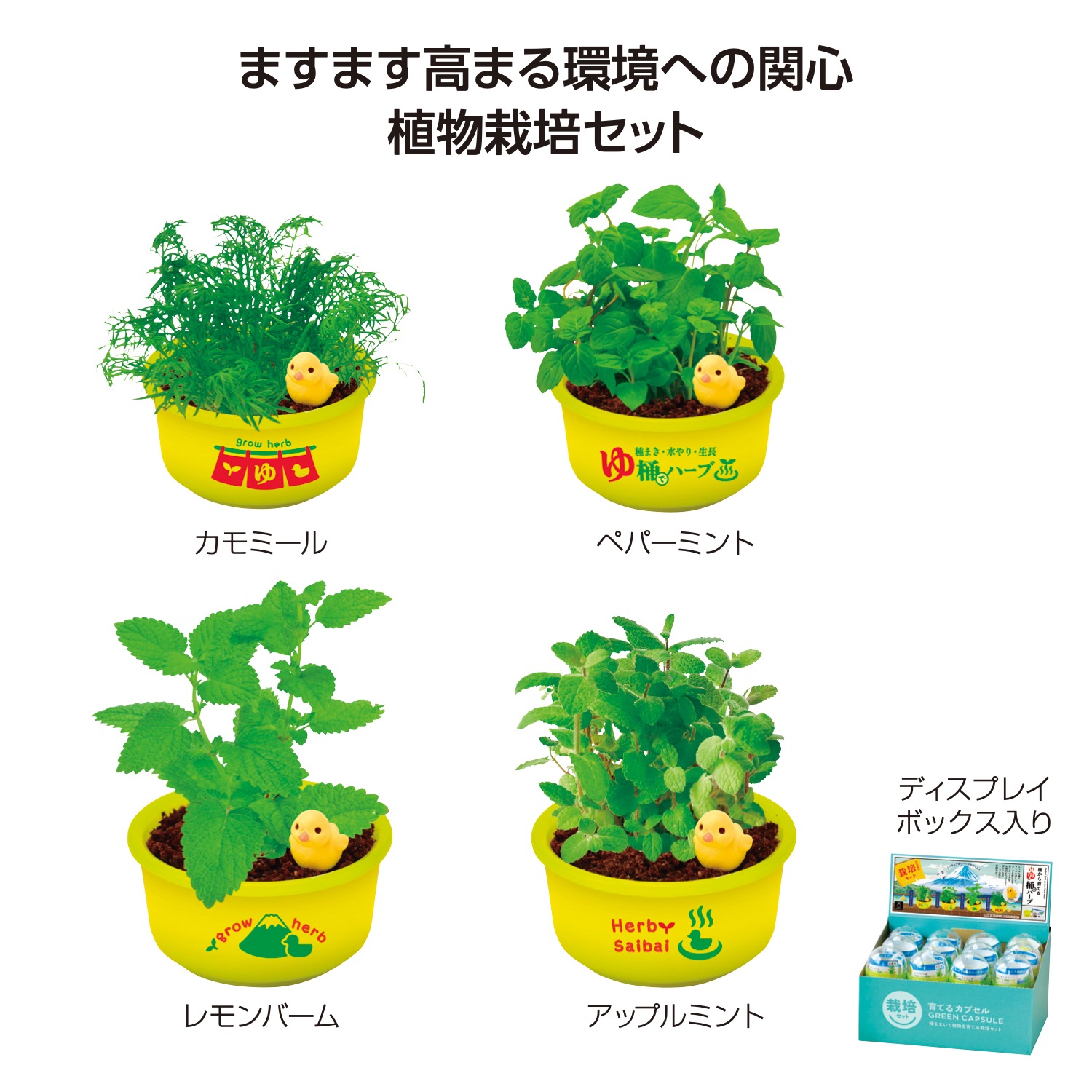 育てるカプセル ゆ桶でハーブ栽培