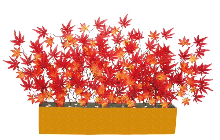ワイドスタンド紅葉