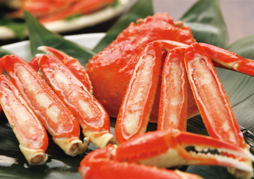 北海かにくらべ