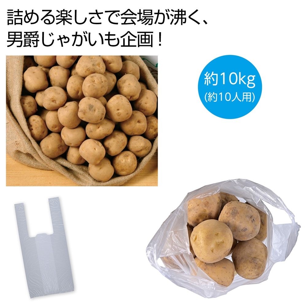 北海道産男爵じゃがいも詰め放題キット10kg （約10人用）
