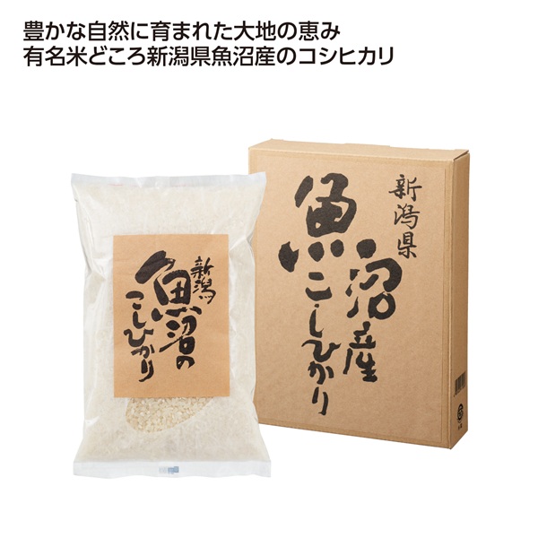 新潟魚沼産こしひかり700g