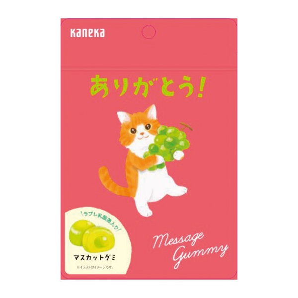 メッセージグミ ありがとう(マスカット味)