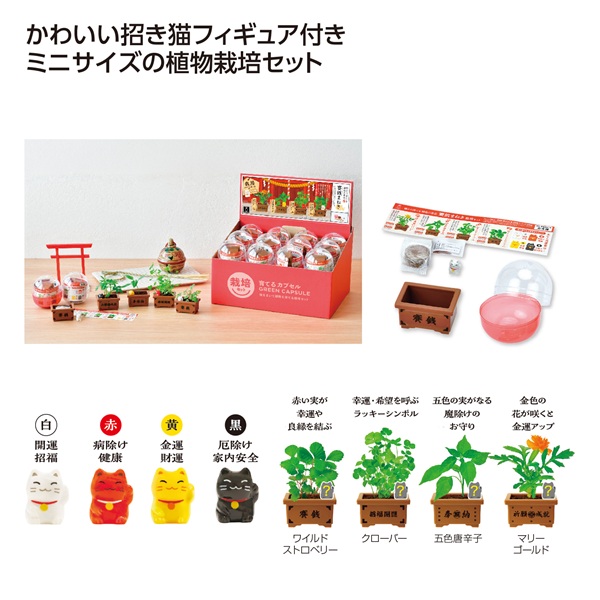 育てるカプセル 賽銭招き