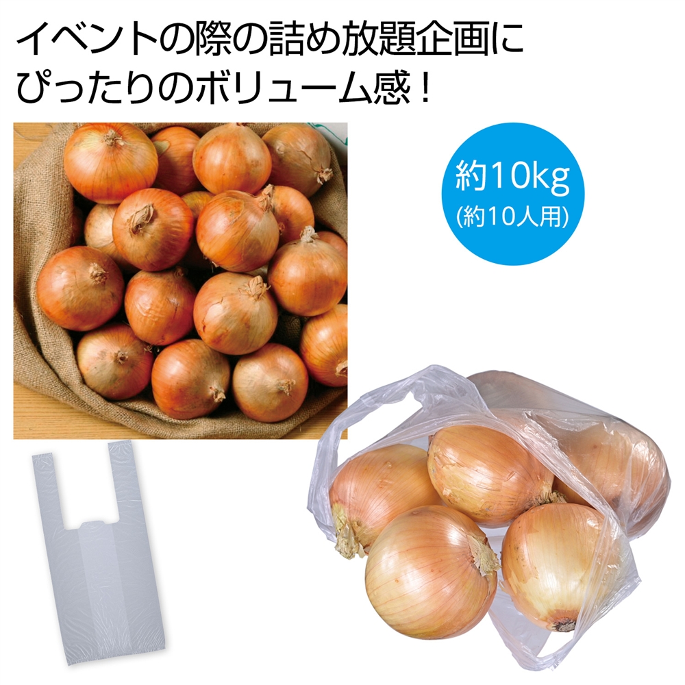 北海道産玉ねぎ詰め放題キット10kg (約10人用)