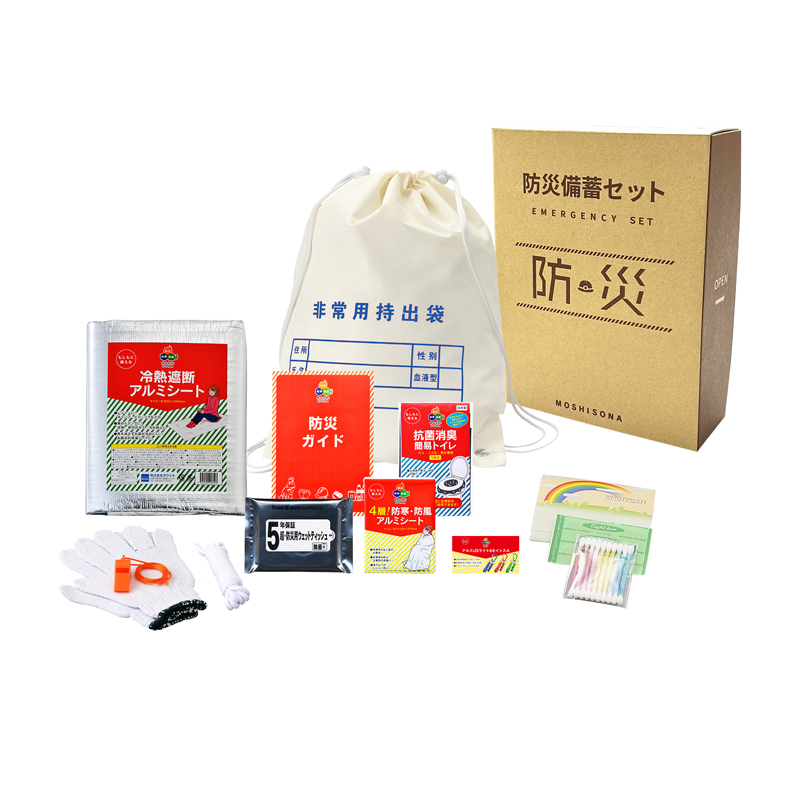 A4ボックス難燃性de持出袋12点セット