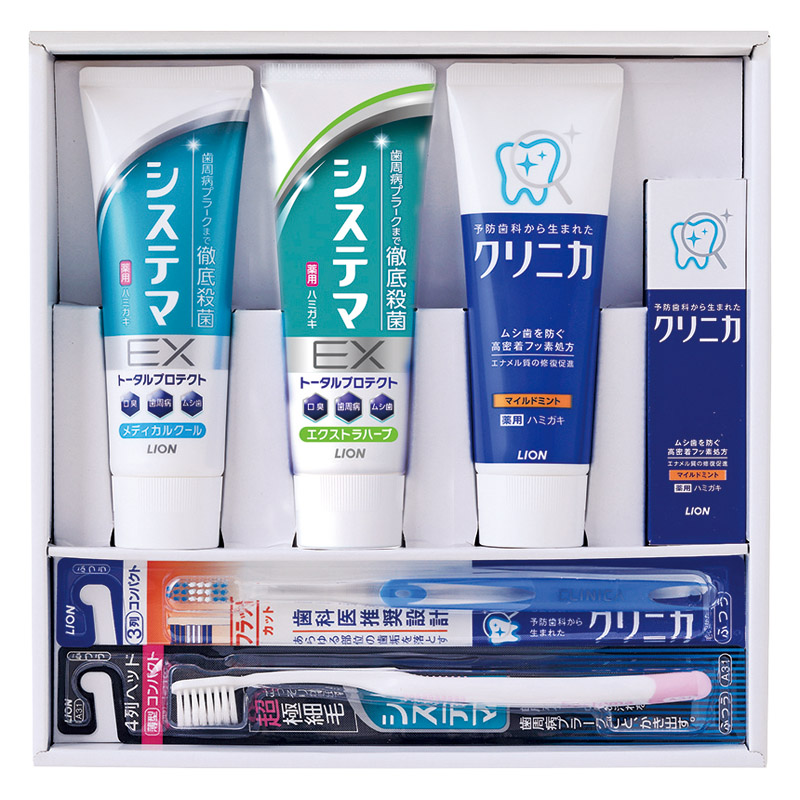 ライオン デンタルセット
