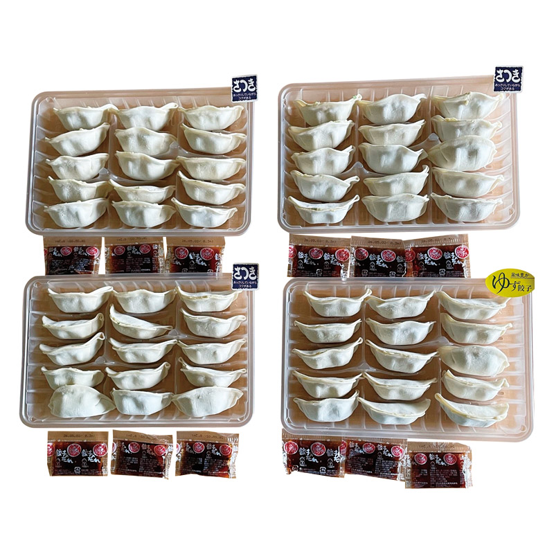 栃木 宇都宮餃子「さつき」セット