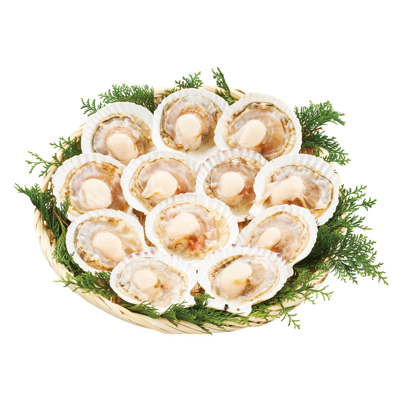 北海道のほたて貝12枚