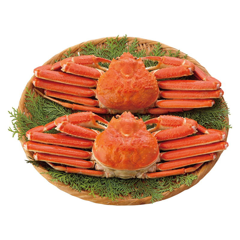 ボイルずわいがに姿2尾 