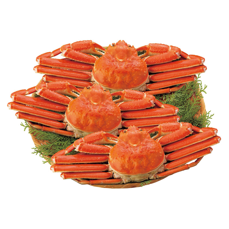 ボイルずわいがに姿3尾