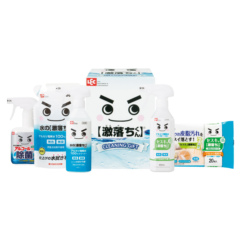 レック 激落ちくんギフト 