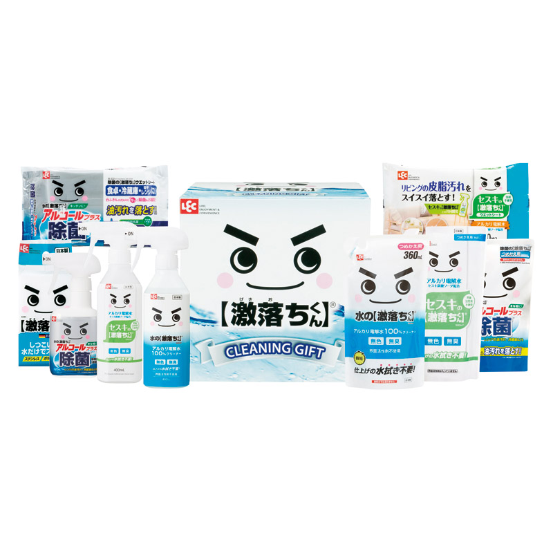 レック 激落ちくんギフト 