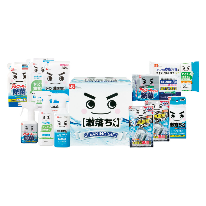 レック 激落ちくんギフト 