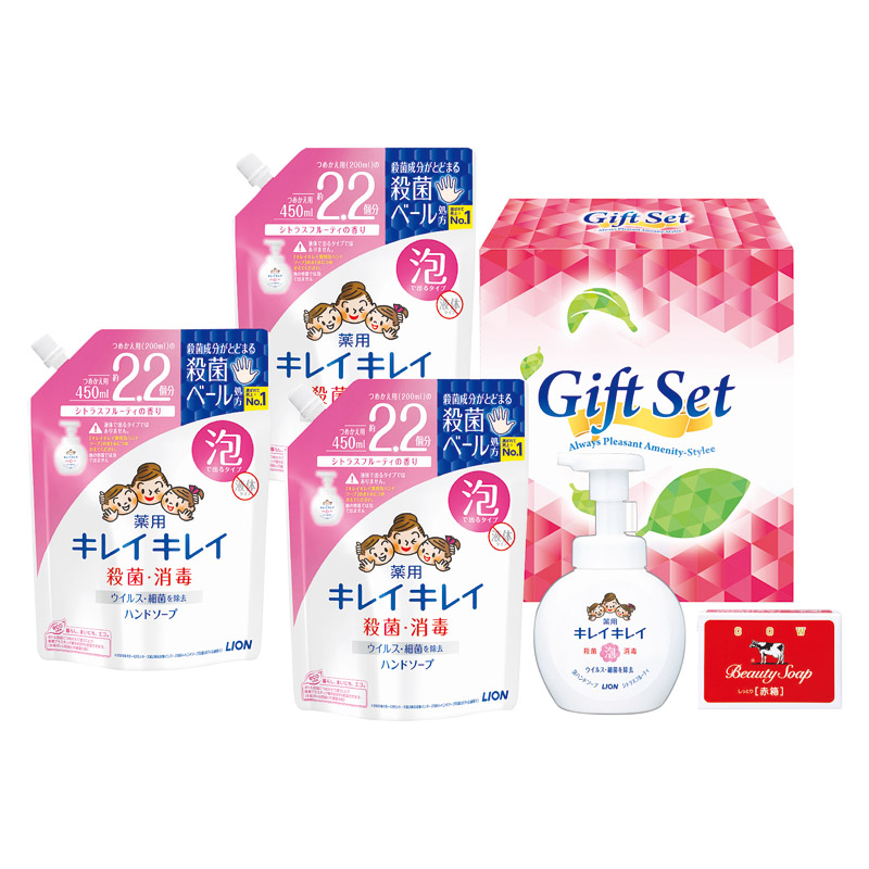 きちんとキレイギフト 