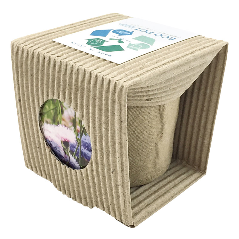 ECOポットS花の種子（1P）