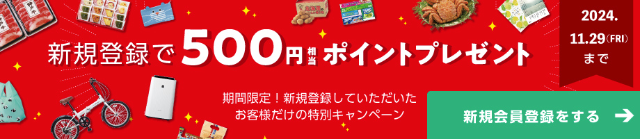 新規登録で500円相当ポイントプレゼント